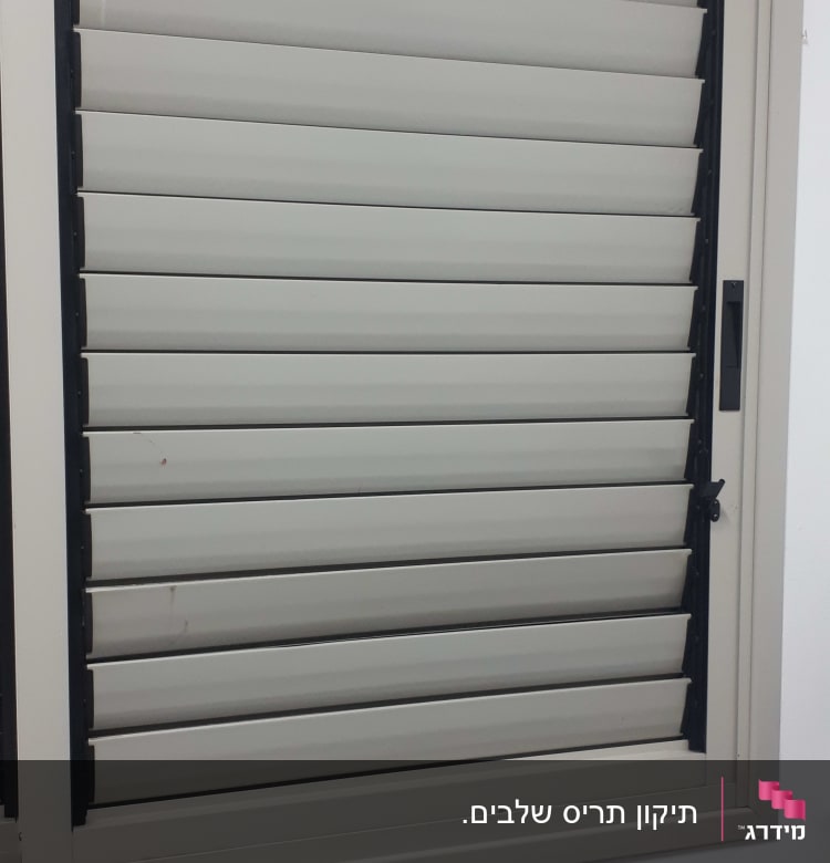 תריסים אפורים עם מסגרת לבנה על קיר